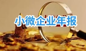别再填错！小微企业年报财税政策要点 数据核对案例