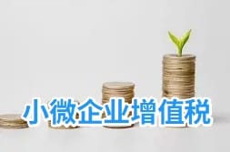 小微企业增值税专栏不用结转？会计处理少错省时间