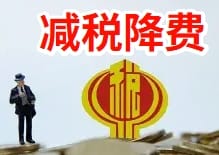 增值税一般纳税人优惠申报期指南