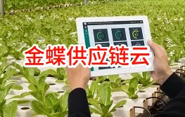 绿⾊⻝品溯源：⾦蝶供应链云助⼒云南农产品企业提质增效